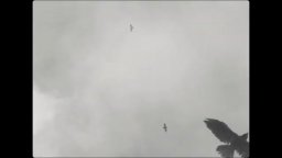 Macbeth - Teaser Trailer Italiano