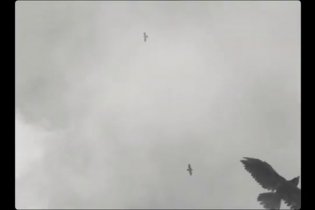 Macbeth - Teaser Trailer Italiano