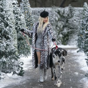 Nei panni di una Principessa - Inseguendo la Stella: una scena con Vanessa Hudgens