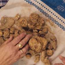 The Truffle Hunters: un momento del film