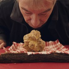 The Truffle Hunters: una foto del film