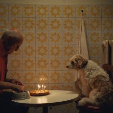 The Truffle Hunters: una sequenza del film