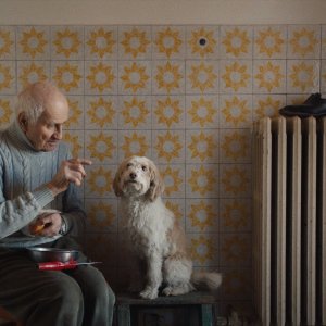 The Truffle Hunters: una sequenza