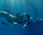 Winter il Delfino, protagonista di film ispirati alla sua storia, sta lottando contro una grave infezione