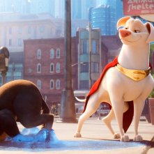 DC League of Super-Pets: un'immagine del film