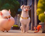 DC League of Super-Pets: nuove immagini e dettagli del film