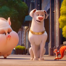 DC League of Super-Pets: un'immagine del film