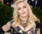 Madonna, la sua ex villa sarà venduta da... un pastore tedesco