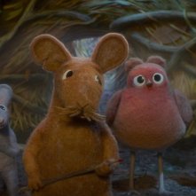 Un pettirosso di nome Patty: un'immagine