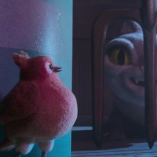 Un pettirosso di nome Patty: un'immagine del corto