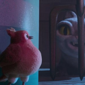 Un pettirosso di nome Patty: un'immagine del corto