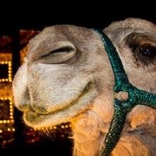 Il Natale della discordia: una scena del documentario