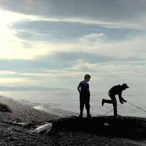 The Whale From Lorino: un'immagine del documentario