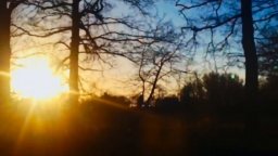 Il Tempo Rimasto - Trailer