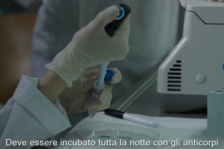 Trafficante Di Virus - Clip (5)