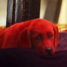Clifford - Il grande cane rosso: una scena