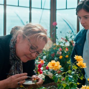 La signora delle rose: una sequenza