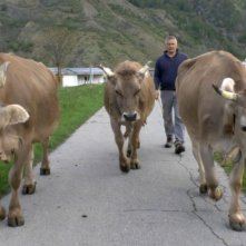 I ribelli del cibo: una scena del film