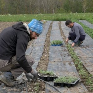 I ribelli del cibo: una scena del documentario
