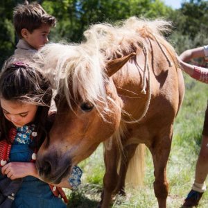 Poly: una scena del film