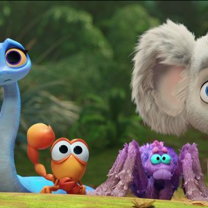 Back to the Outback - Ritorno alla natura: una scena del film