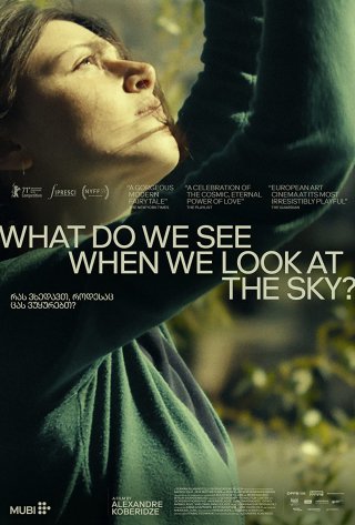 Locandina di What Do We See When We Look at the Sky?