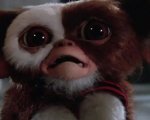 Gremlins, Joe Dante parla delle origini delle creature: 'Sono l'incrocio tra un drago e un panda'