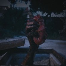 La casa del Sabba: un'immagine