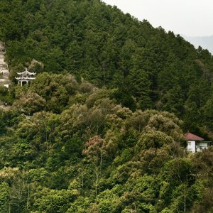 Tiepide acque di primavera: una scena del film