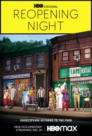 Locandina di Reopening Night