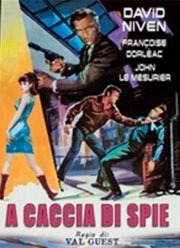 Locandina di A caccia di spie
