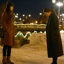 Moonlit Winter: un'immagine