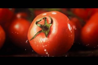 Bob's Burgers: The Movie - Trailer