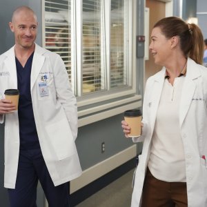 Grey's Anatomy: Richard Flood ed Ellen Pompeo in una scena della serie