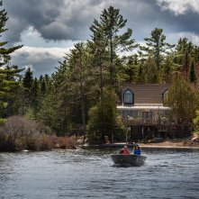 Il lupo e il leone: un'immagine
