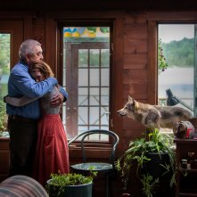 Il lupo e il leone: un momento del film