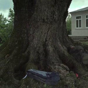 Taming the Garden: una scena del film