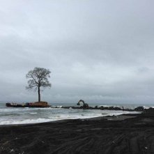 Taming the Garden: una sequenza del film