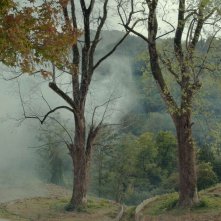 Taming the Garden: un momento del film