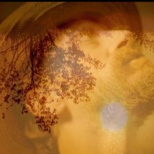 Van Gogh - I Girasoli: una scena del film