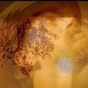 Van Gogh - I Girasoli: una scena del film