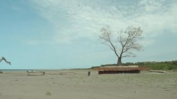 Taming The Garden - Trailer