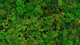 Australia The Wild Top End - Trailer