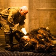 Quel giorno tu sarai: un'immagine