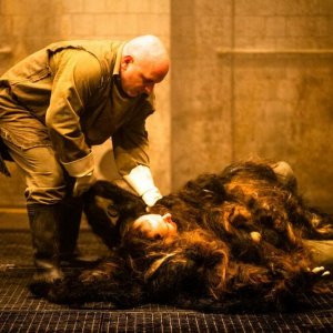 Quel giorno tu sarai: un'immagine