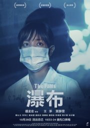 Locandina di Le cascate