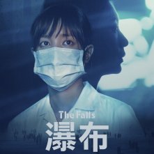 Locandina di Le cascate