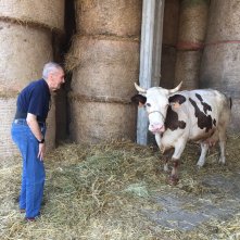 Let's Kiss - Franco Grillini Storia di una rivoluzione gentile: un'immagine