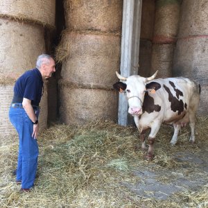 Let's Kiss - Franco Grillini Storia di una rivoluzione gentile: un'immagine