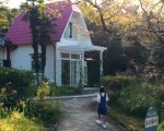 Studio Ghibli: il parco a tema aprirà in Giappone a novembre (VIDEO)